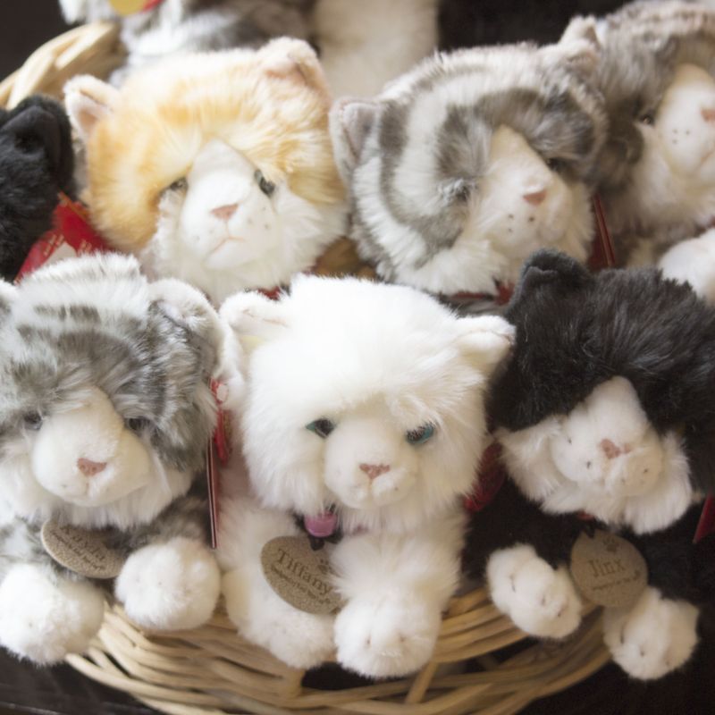 Boneka Kucing Sunlemon Keel Toys Kitten