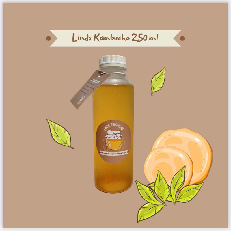 Jual Linds Kombucha 250ml | Shopee Indonesia