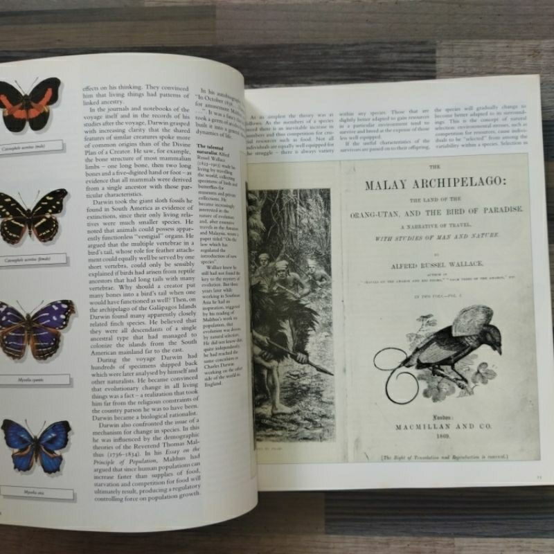 Jual THE BOOK OF EVOLUTION (ORIGINAL) | Shopee Indonesia