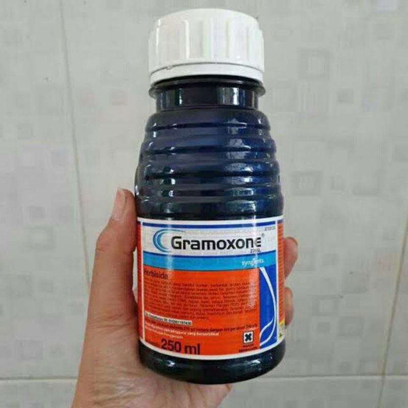 Jual Gramaxone herbisida gramason kemasan 250 ml | Shopee Indonesia