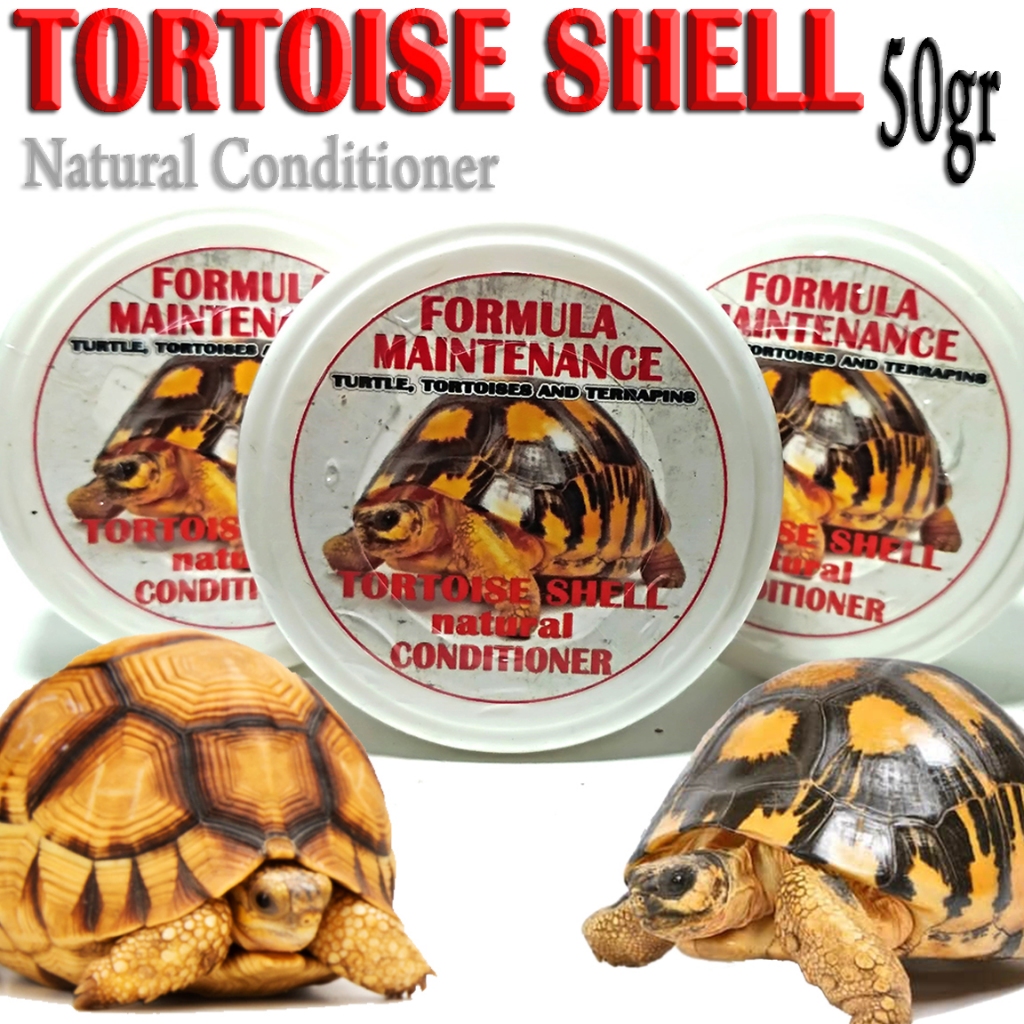 Jual 50GR TORTOISE SHELL CONDITIONER PELEMBAB TEMPURUNG KERAPAS KURA ...