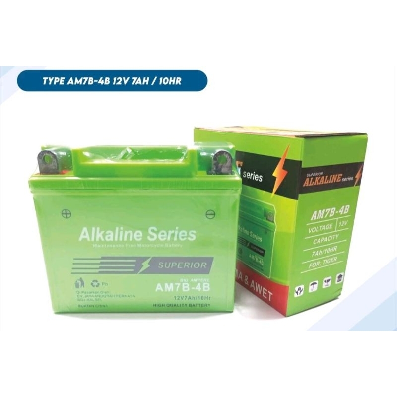 Jual Aki kering tiger Aki kering scorpio alkaline | Shopee Indonesia