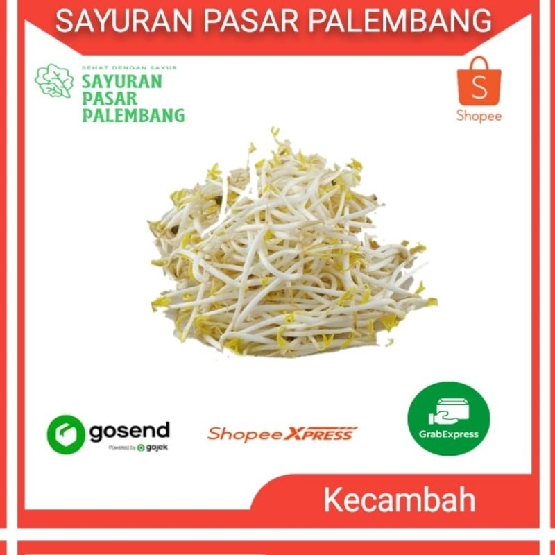 Jual Kecambah / Toge - Sayuran Pasar Palembang | Shopee Indonesia