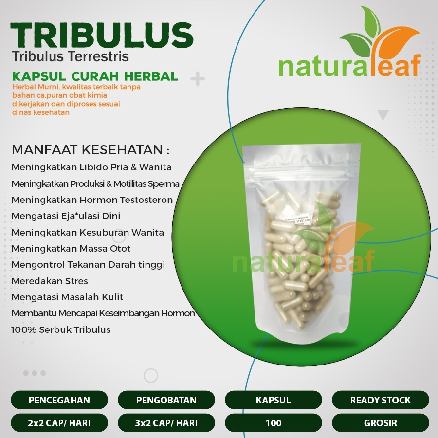 Kapsul Curah Herbal TRIBULUS Aphrodisiac Stamina Hipertensi 100 capsul