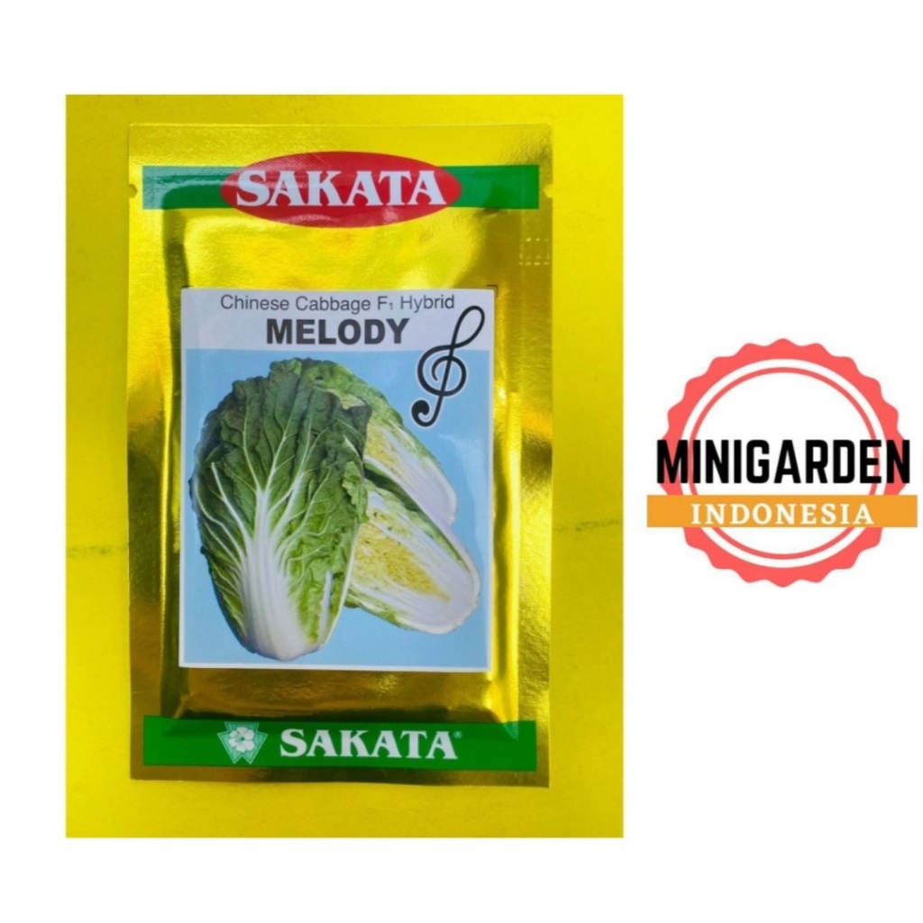 Jual Sawi Putih Melody 10 Gram Benih Bibit Biji Chinese Cabbage Hibrida