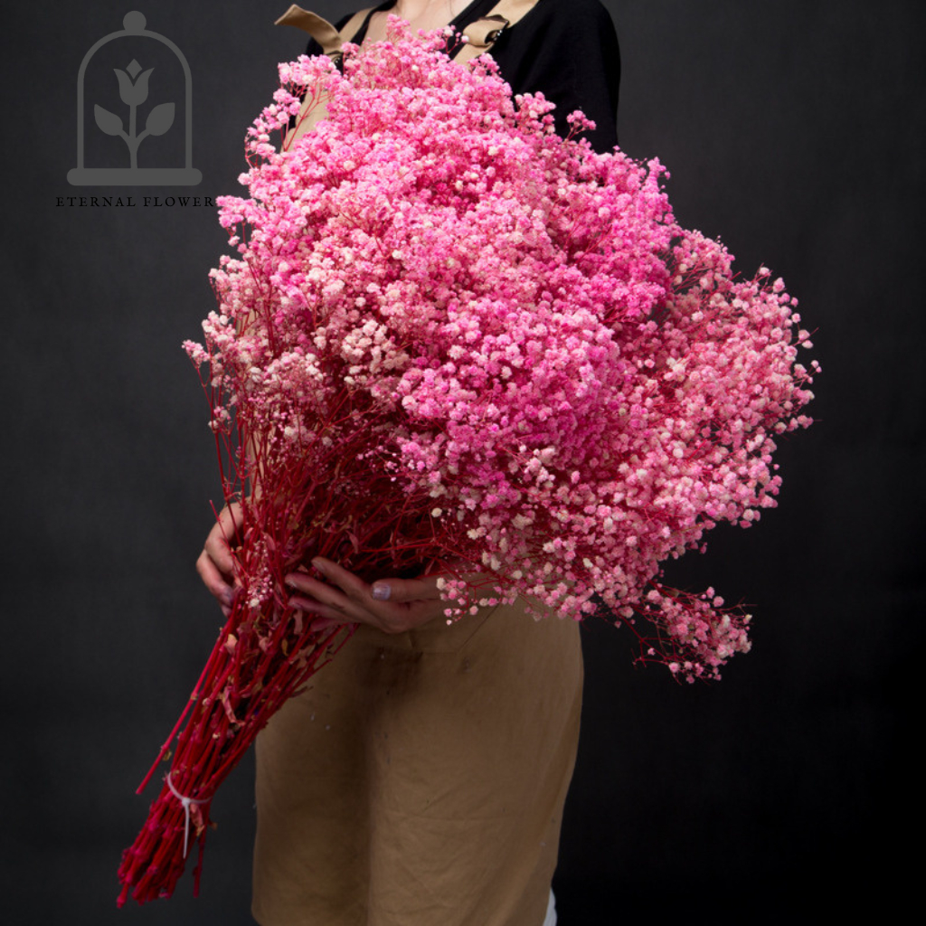 Jual (50 gr) Preserved Baby Breath / Dried Flower Awetan / Bunga Kering