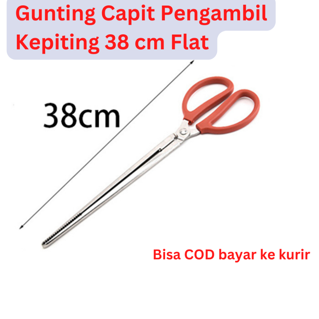 Jual Gunting capit flat crabs tong untuk mengambil kepiting belut ...