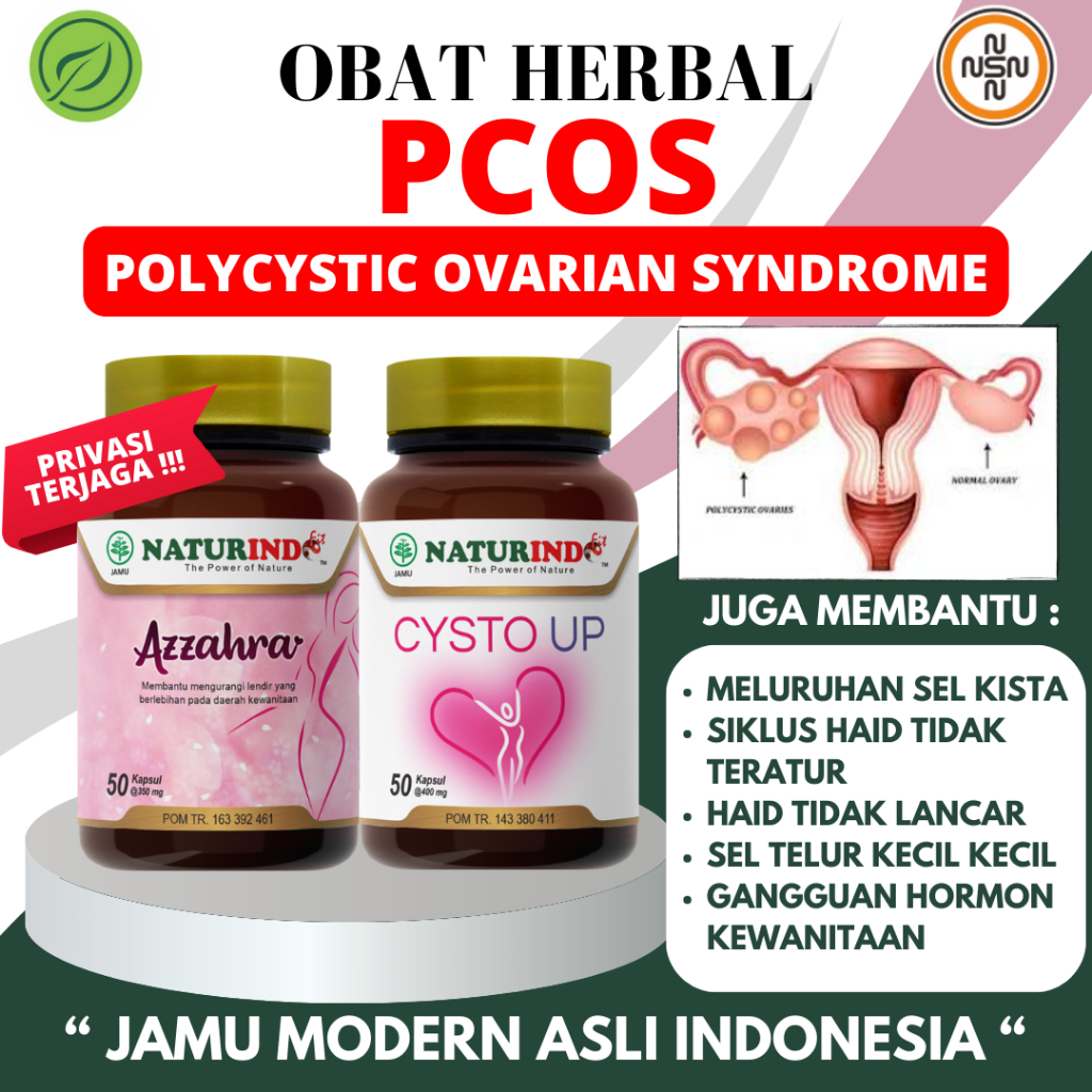 Jual Obat Herbal Pcos Polycystic Ovarian Syndrome Sindrom Polikistik