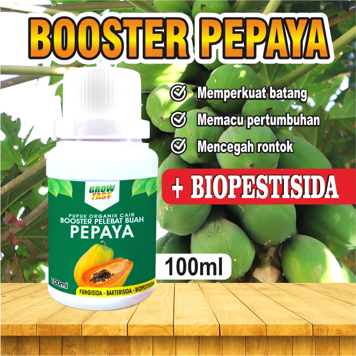 Jual Pupuk Booster Pepaya Ml I Pupuk Organik Pelebat Buah Pepaya I Pupuk Perangsang