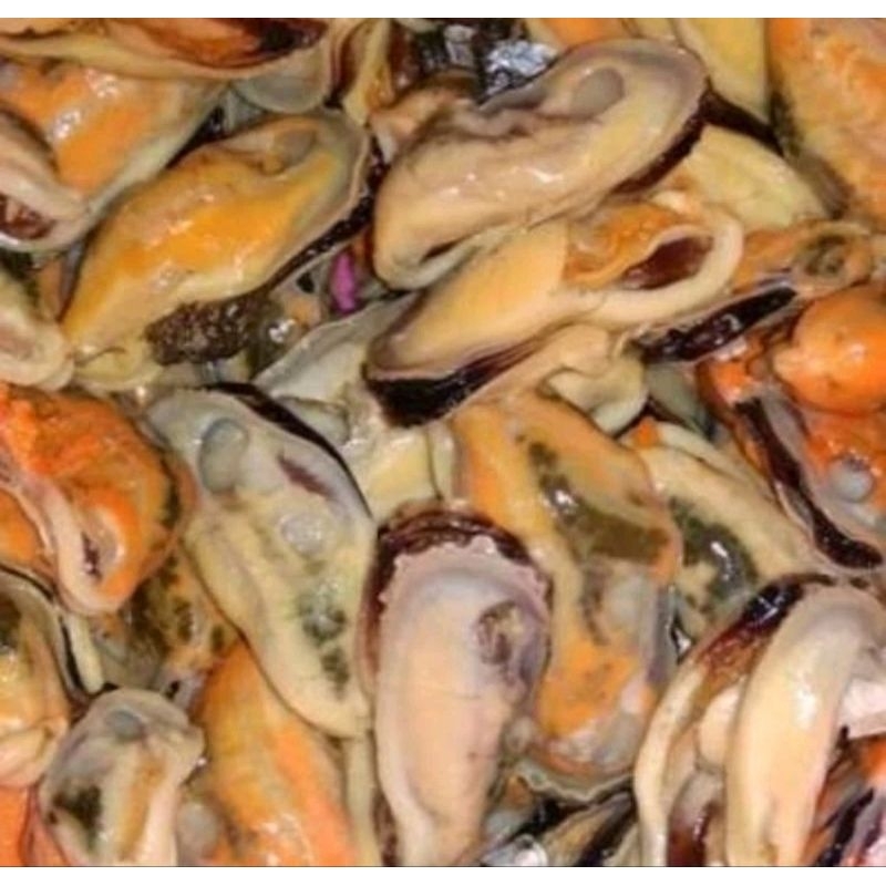 Kerang kupas segar yang siap diolah