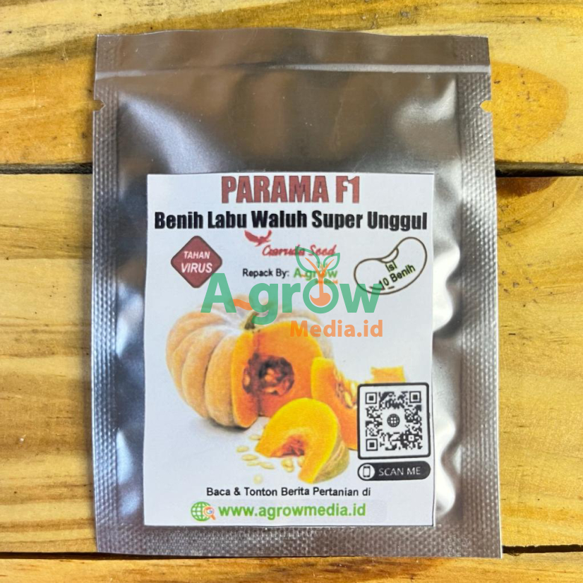 Jual 10 Benih Labu Waluh Kuning PARAMA F1 Bibit Biji Super Unggul Tahan ...