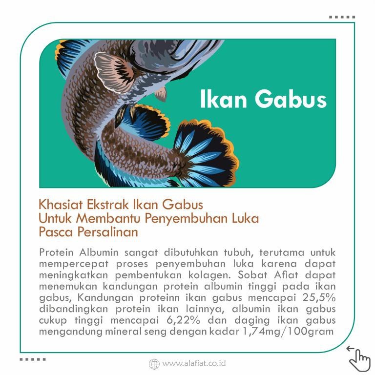 Kapsul Ikan Gabus 60 Kapsul - Berkhasiat Mempercepat Penyembuhan Luka