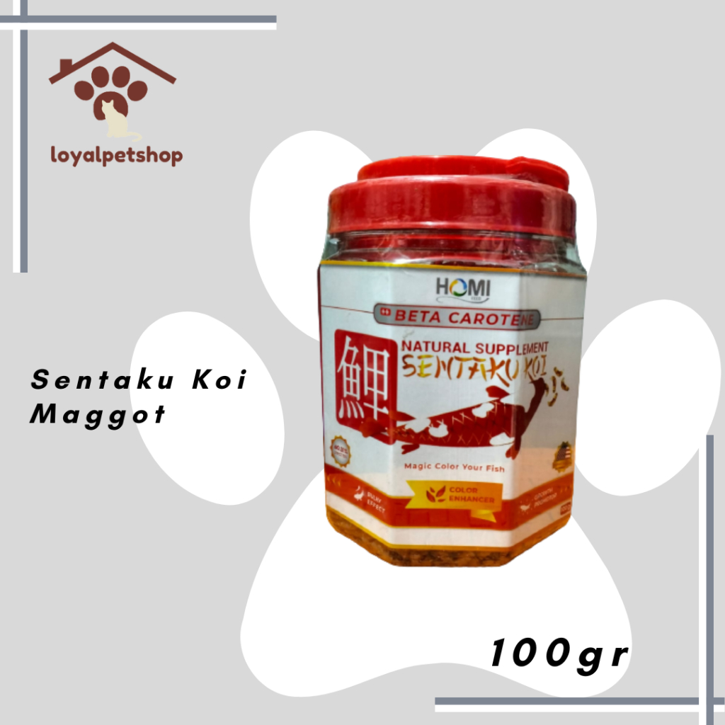 Jual SENTAKU KOI 100Gr - Maggot - Makanan Ikan 100gr | Shopee Indonesia