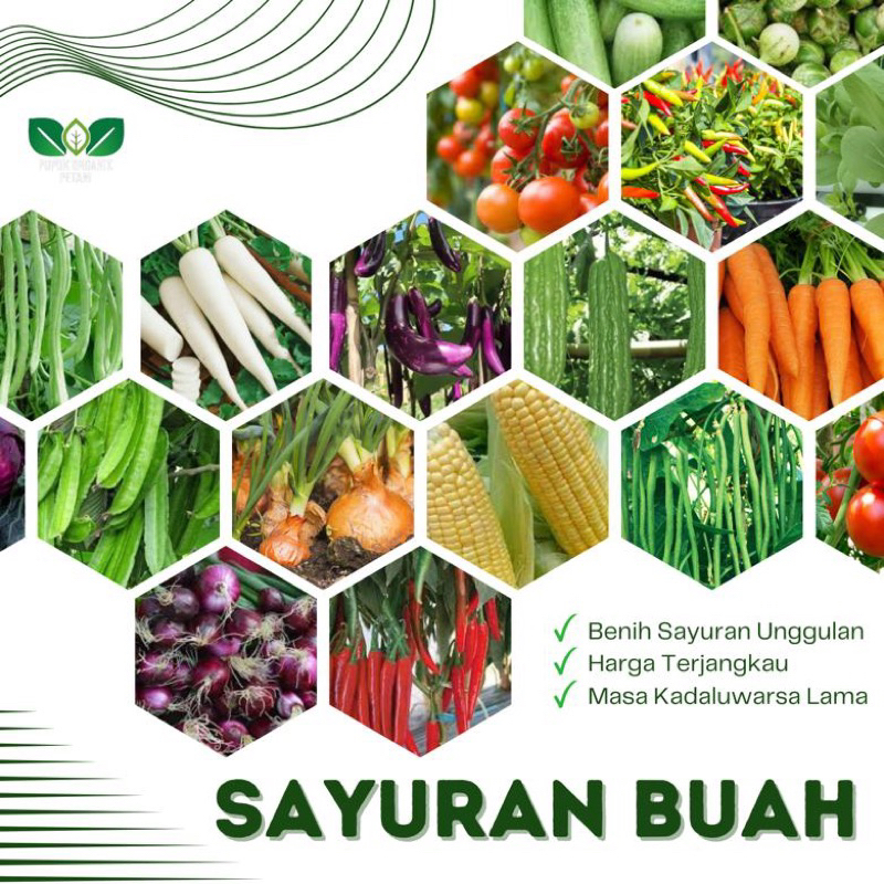 Jual Benih Sayuran Unggulan Siap Ditanam Berkualitas Biji Tanaman Sayur