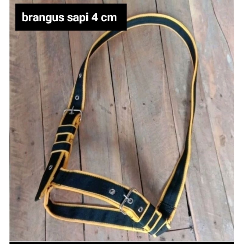 Jual BRANGUS SAPI 4 CM/BRANGUS 4CM/BRANGUS MURAH/BRANGUS BAGUS | Shopee ...
