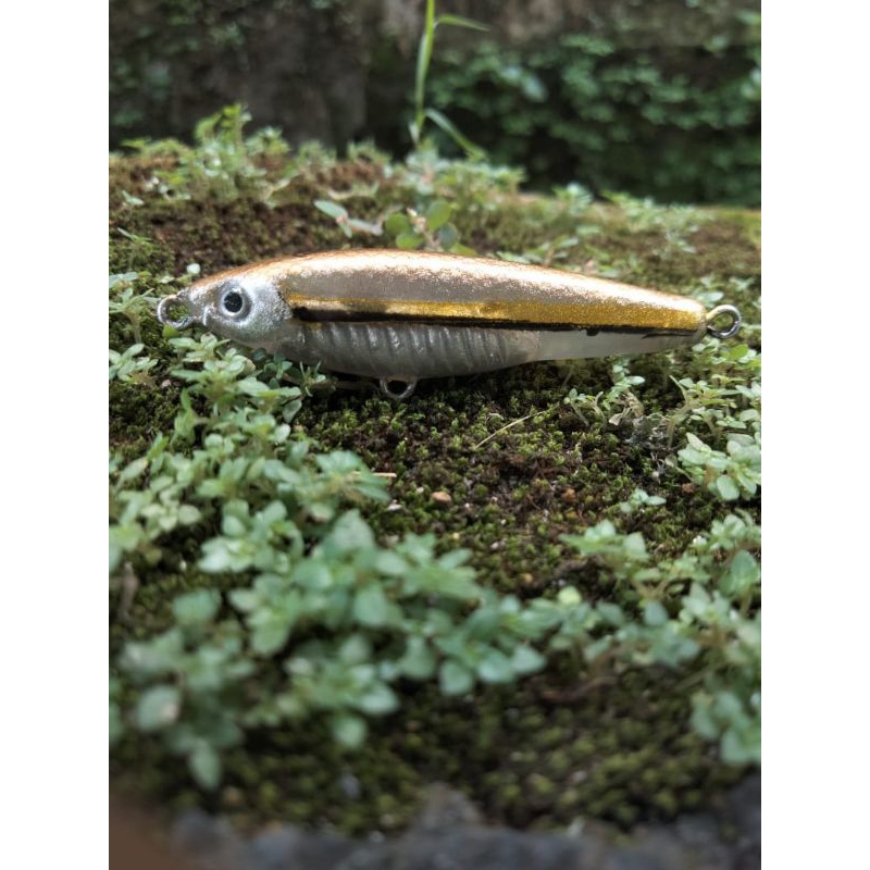 Jual LURE MINOW 5CM UMPAN HAMPALA KILLER | Shopee Indonesia