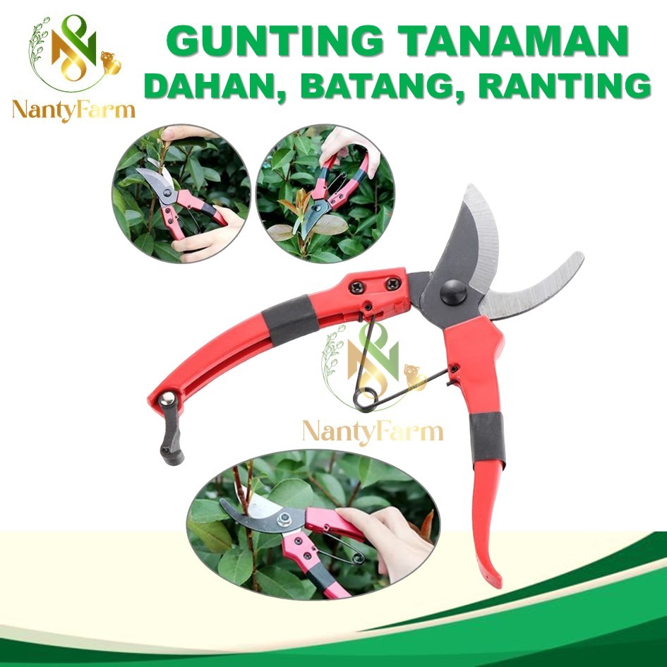 Jual Gunting Tanaman Ranting Dahan Bengkok Pruning Tanaman | Shopee ...