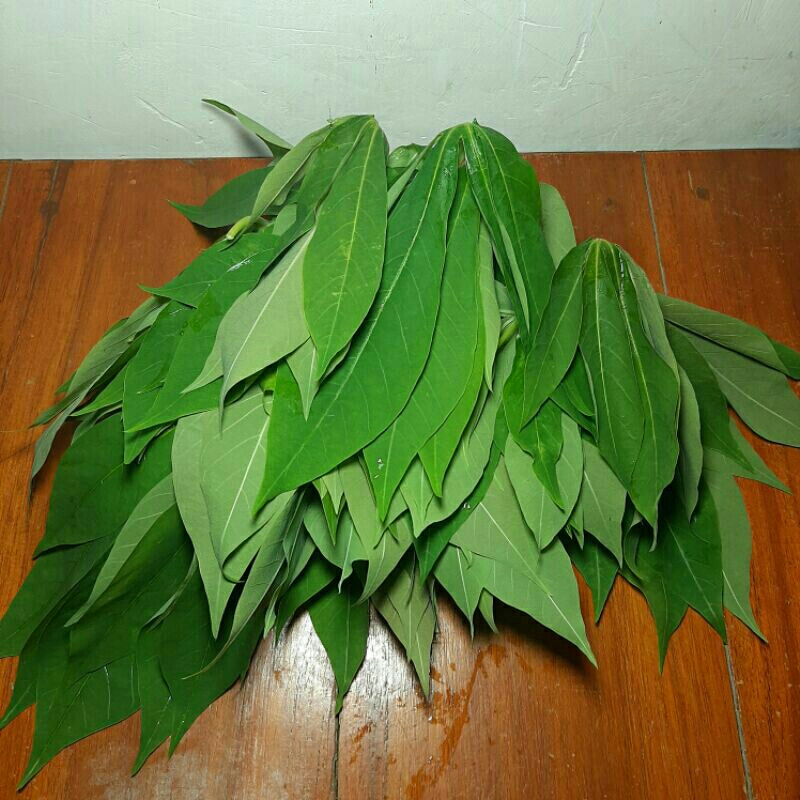 Jual Daun Singkong Segar Gr Sayur Daun Singkong Daun Singkong