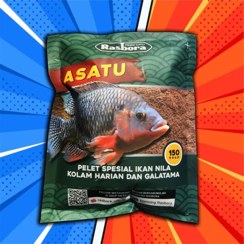 UMPAN RASBORA bikin ikan jadi rebutan umpanku..!! 