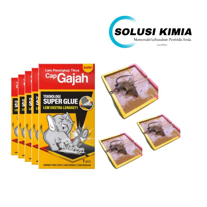 Jual Lem Tikus Cap Gajah Papan Super Lengket Perangkap Tikus Ampuh Papan Cap Gajah Extra