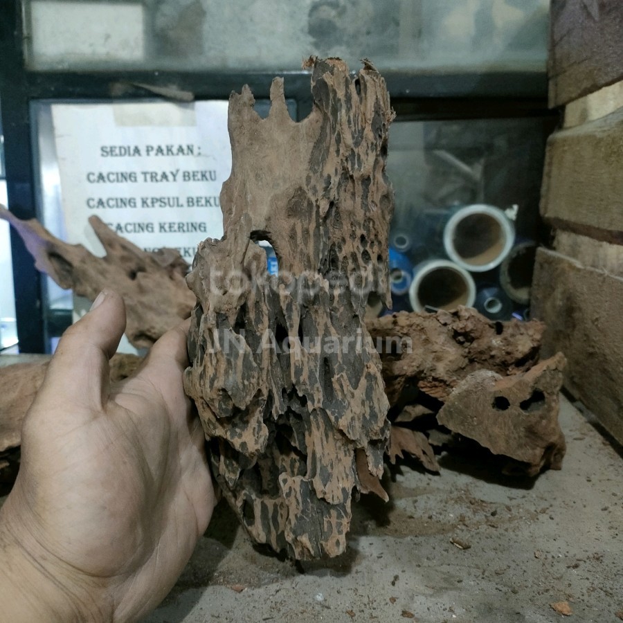 Jual Akar Rentek Hiasan Aquarium Aquascape Uk. M | Shopee Indonesia