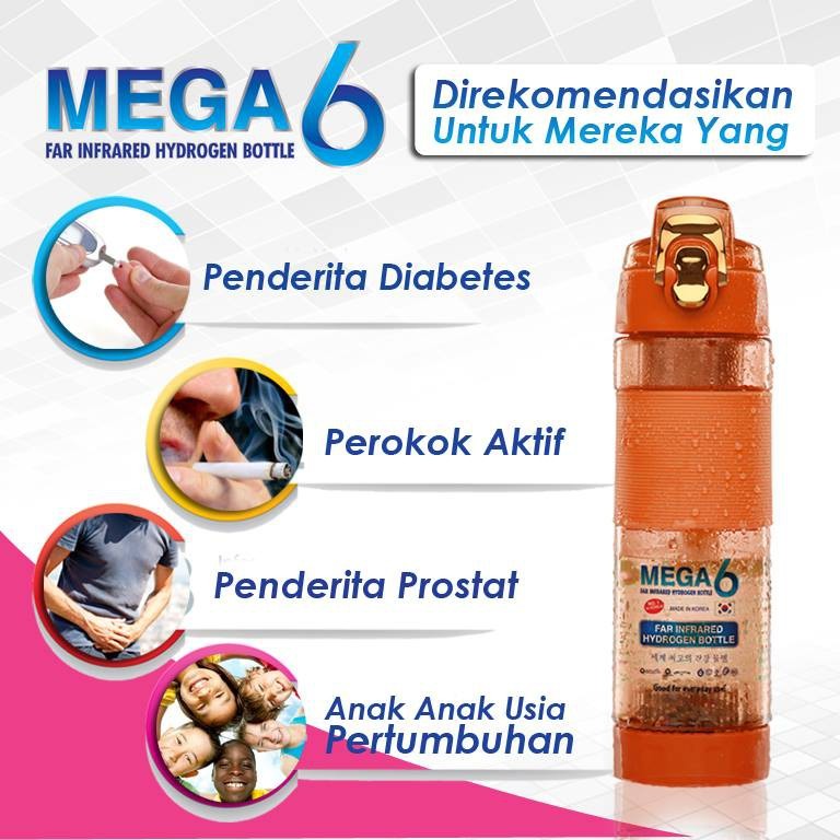 Jual Botol MEGA 6 LARGE 600ml - Botol Terapi DIABETES dijamin RESMI dan ...
