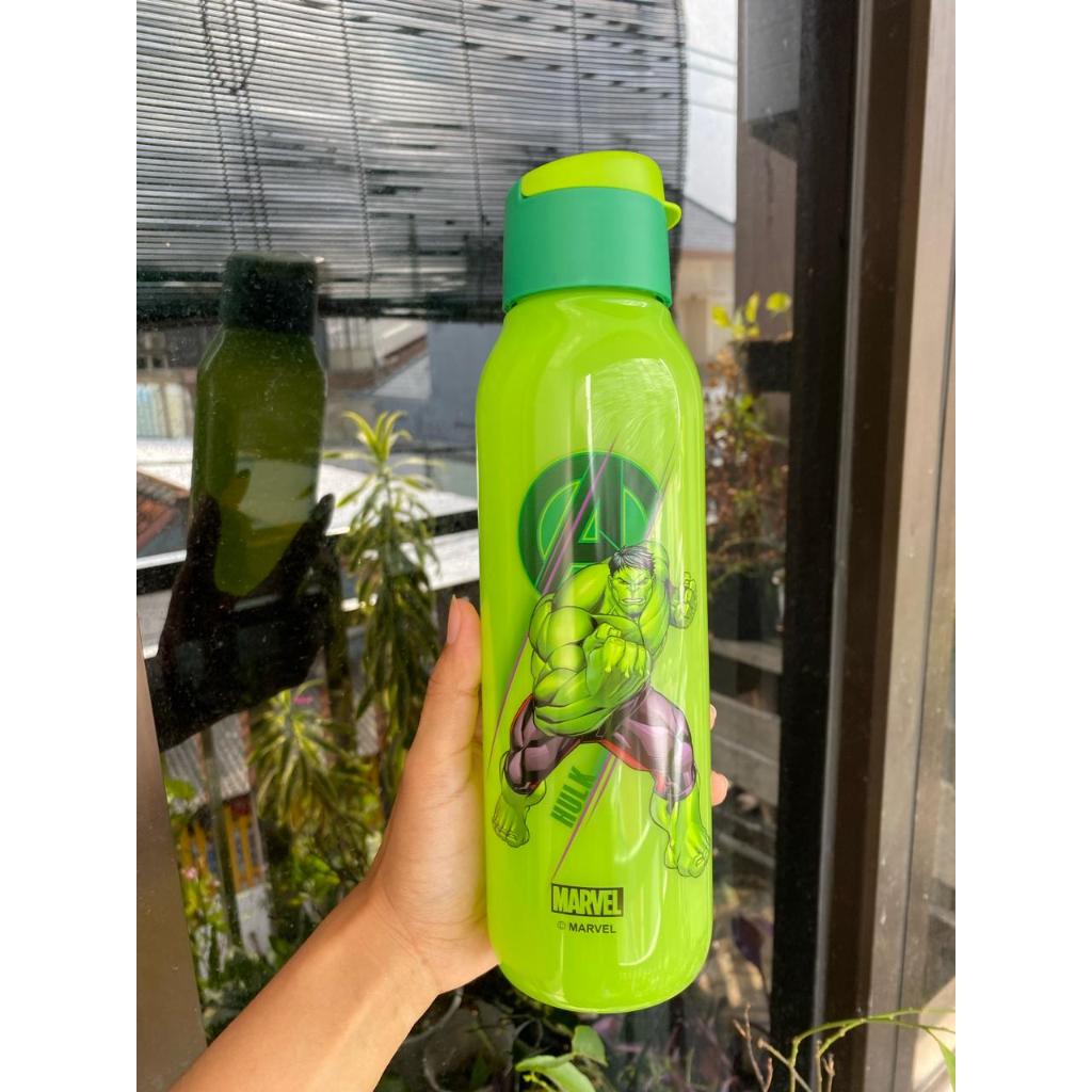 Jual Eco Bottle AVENGERS Marvel Series botol Tupperware 750ml harga ...