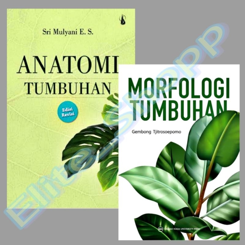 Jual Paket Buku Anatomi Tumbuhan Dan Morfologi Tumbuhan | Shopee Indonesia