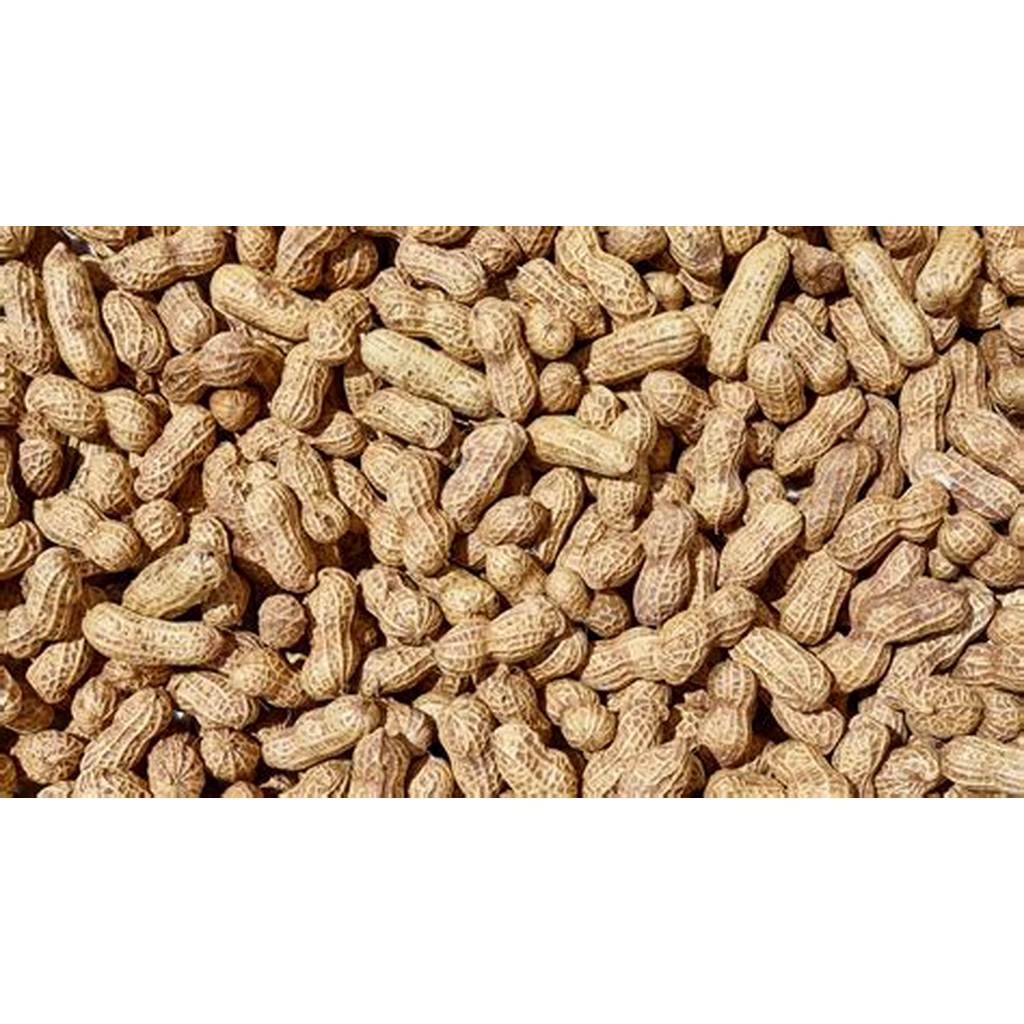 Jual Kacang Tanah Utuh | Shopee Indonesia