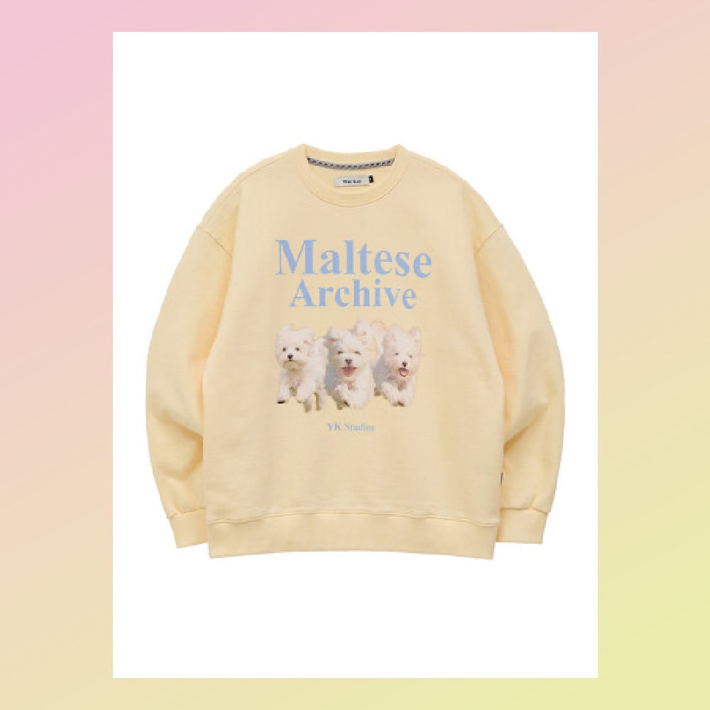 関税込★Wai Kei★Maltese &Dolphin vintage graphic sweatshirt WAI KEI◇Maltese &Dolphin vintage graphic sweatshirt (Wai