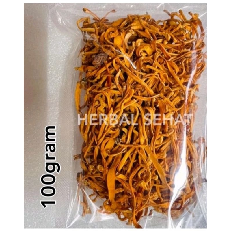 100GRAM Bunga Cordyceps Herbal CongCaohua chong cao hua cong cao hua chongcaohua 100gram Cordyceps Militaris untuk kesehatan paru paru dan stamina