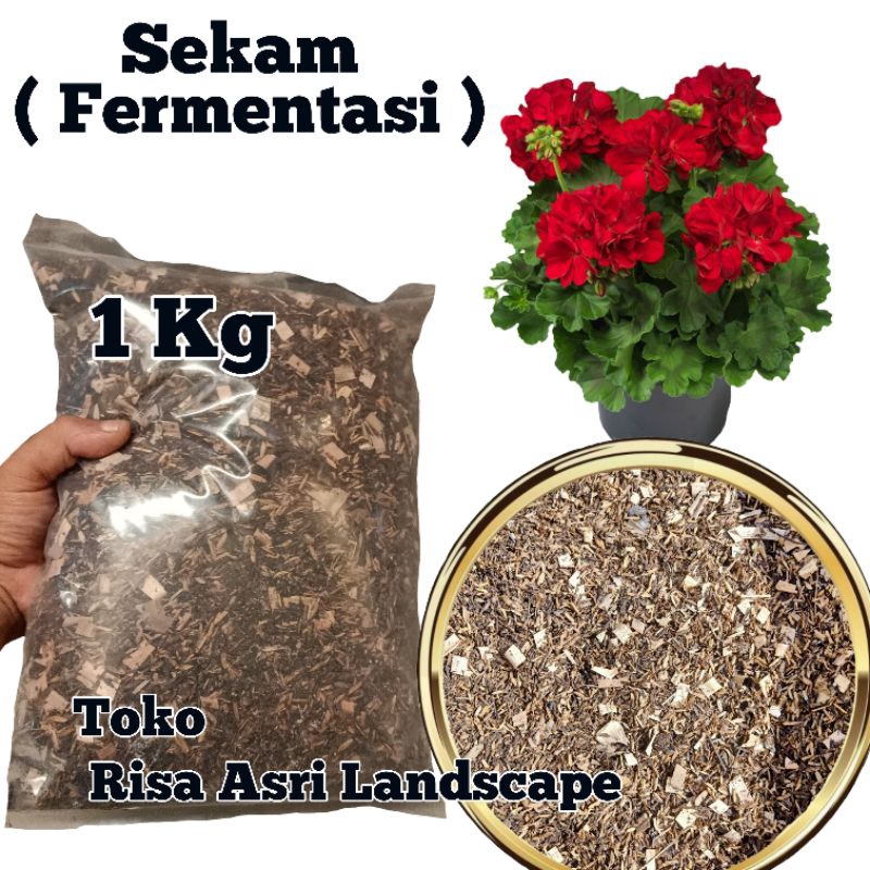 Jual Metan Sekam Mentah Fermentasi 1Kg, Media Tanam Organik Aglonema ...