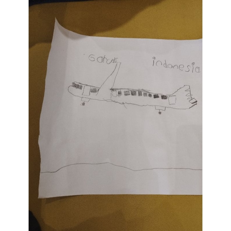 Jual Gambar Pesawat Garuda Indonesia | Shopee Indonesia