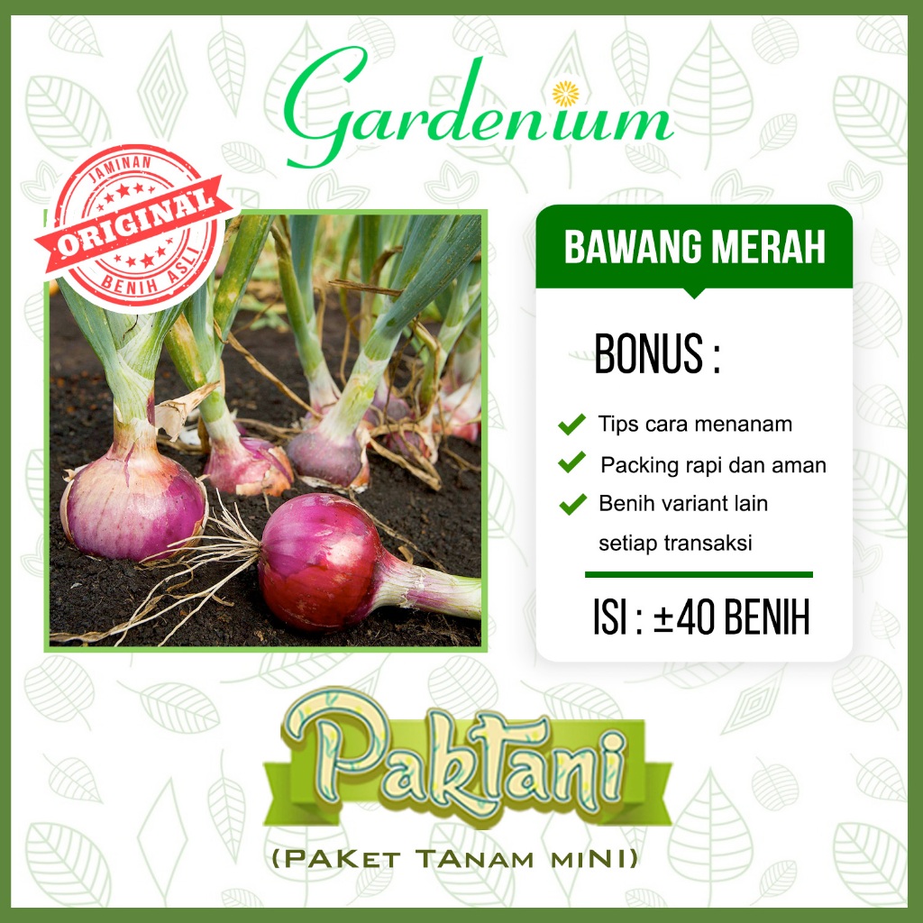 40 Benih Bawang Merah - Tanaman Sayur Unggul Paktani