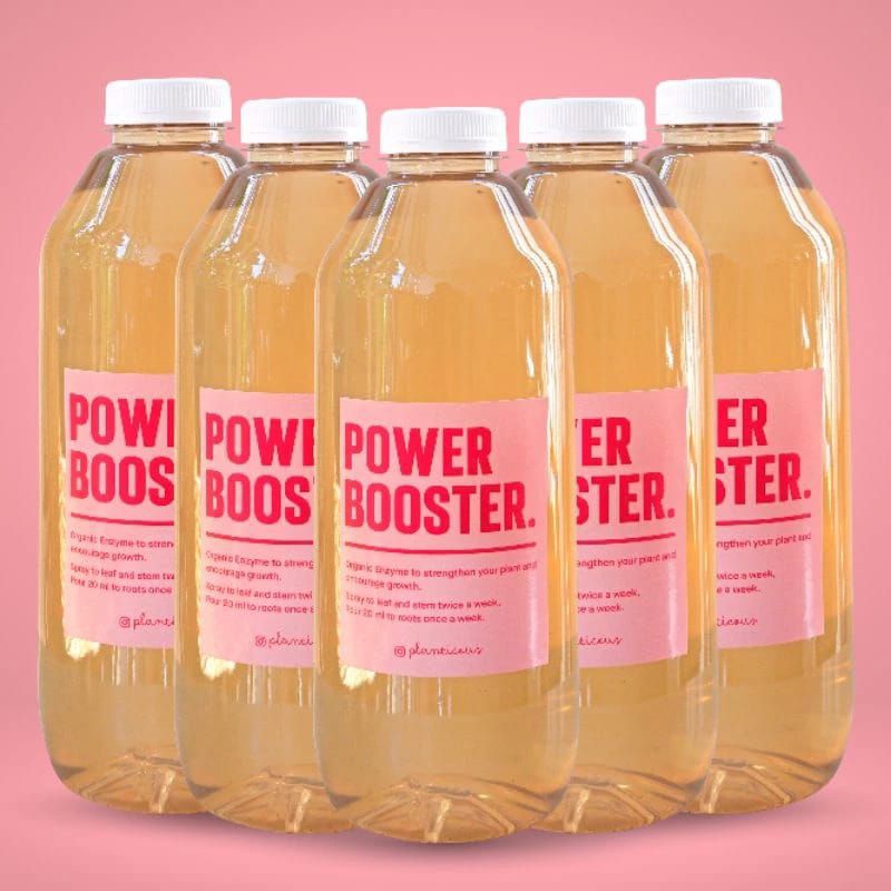 Jual 5 Botol Power Booster Tanaman Hias 1000 ml | Shopee Indonesia
