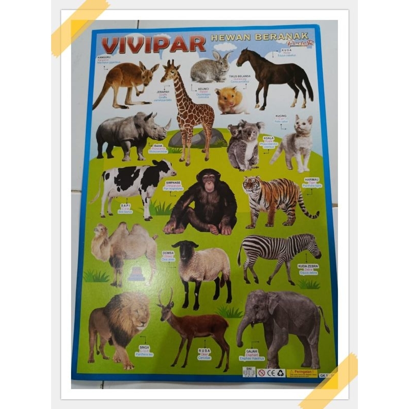 Jual Poster Hewan Beranak | Shopee Indonesia