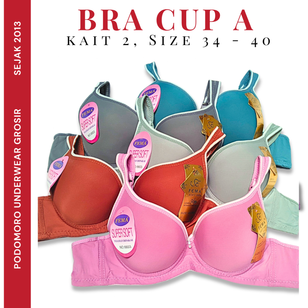 Jual Harga Grosir Bh Wanita Bra Wanita Fema Kawat Busa