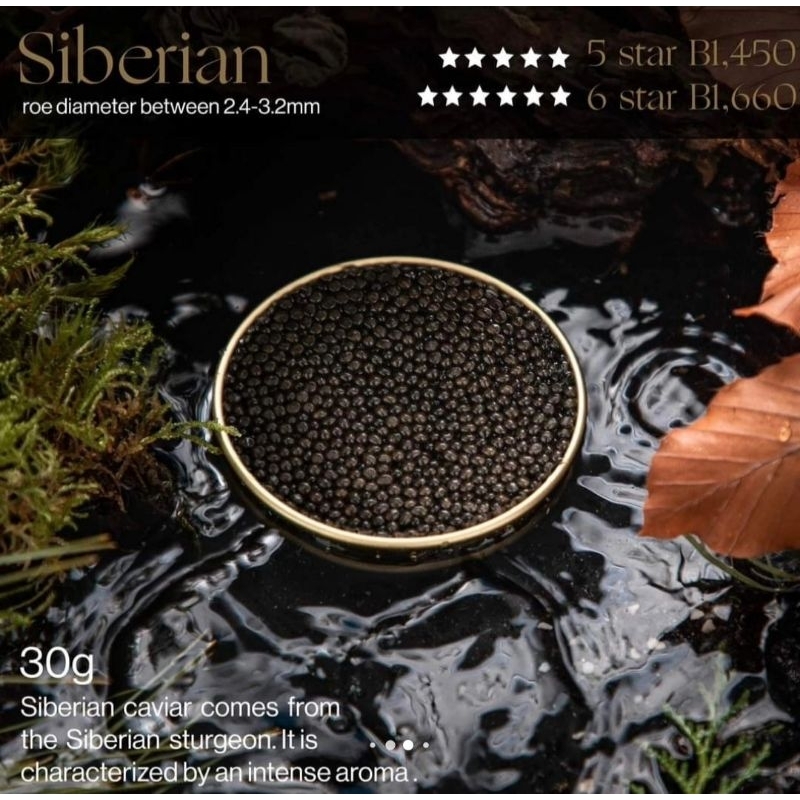 Jual Caviar/Telur Ikan Siberian Sturgeon - Antonius | Shopee Indonesia