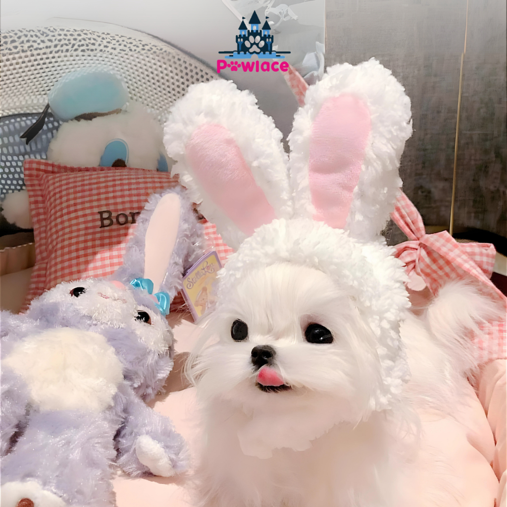 Jual Topi Hewan Peliharaan Telinga untuk Kucing dan Anjing Kelinci ...
