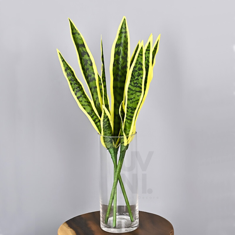 Jual TANAMAN HIAS SANSEVIERIA DAUN LIDAH MERTUA LATEX PEPEDANGAN SERAT KUNING DAUN ARTIFICIAL