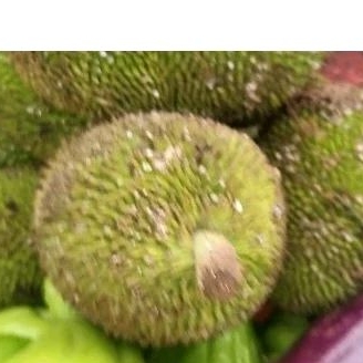 Jual Kluwih Terlengkap & Harga Terbaru Juni 2026 | Shopee Indonesia