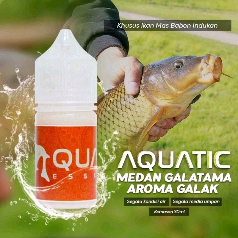 Jual Aquatic Essen Ikan Mas Mancing Galatama Induk Babon Anti Boncos