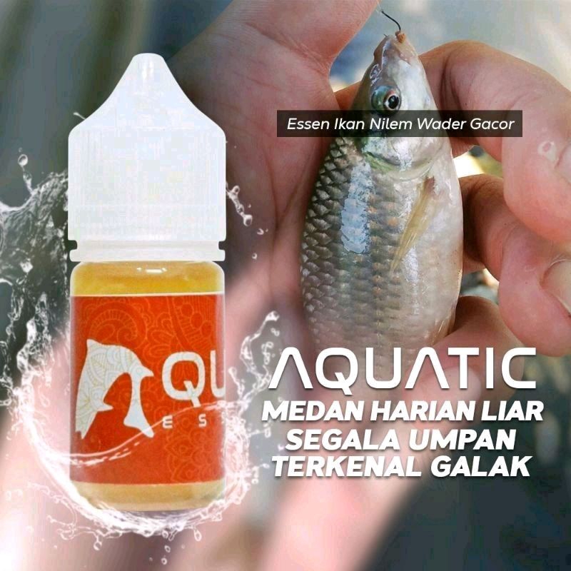 Jual Aquatic Essen Ikan Nilem Liar Dan Kolam Harian Isi 30ml Original