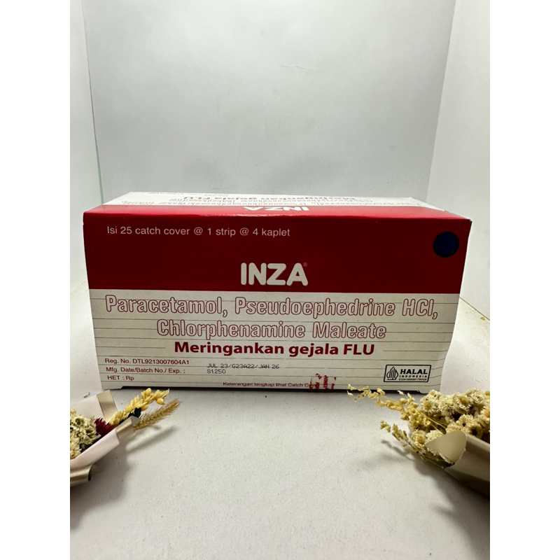 Jual Inza Obat flu atasi hidung tersumbat bersin, sakit kepala Aman ...
