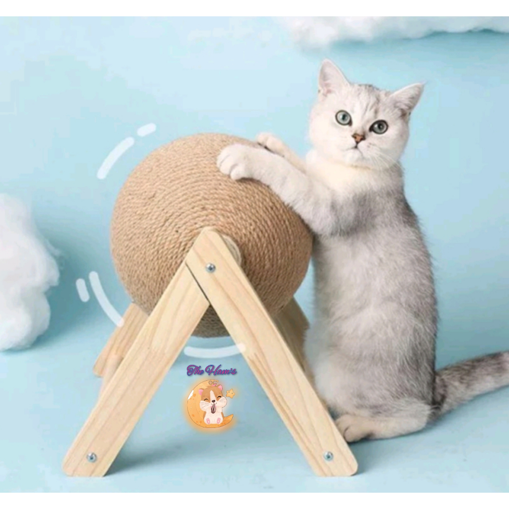 Jual (The Ham's) Garukan Kucing Cat Scratcher Bola Mainan Kucing Cat ...
