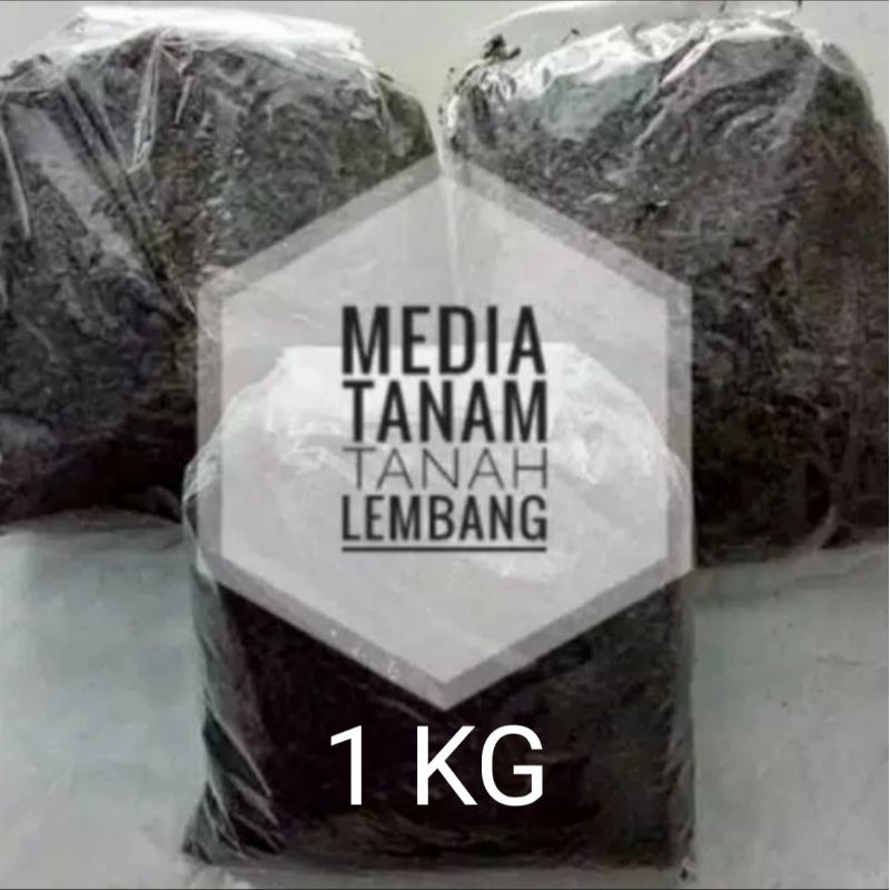 Tanah lembang Murni 1 kg, Media tanam subur, Tanah gembur