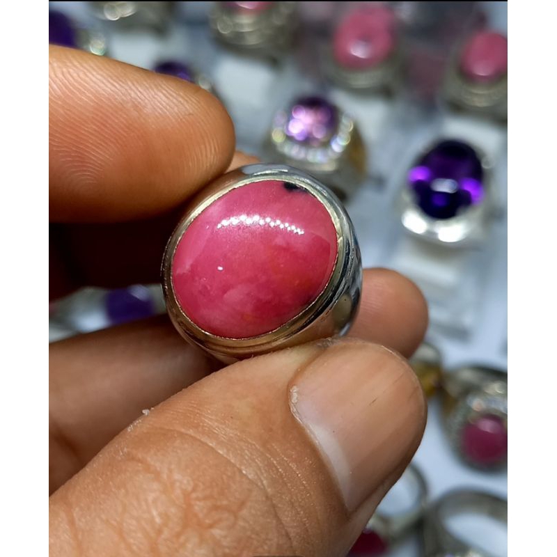 Jual red borneo super HQ | Shopee Indonesia
