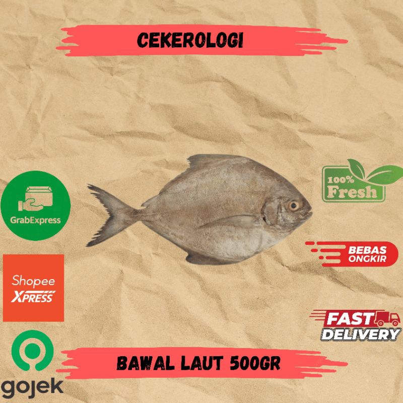 Jual Bawal Laut 500gr / Bawal Laut / Bawal / Bawal Laut Fresh ...