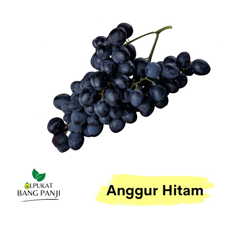 Jual ALPUKAT BANG PANJI - Anggur Hitam RRC 250g | Shopee Indonesia