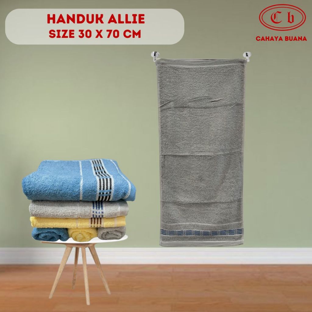 Jual HANDUK KECIL ALLIE UK 30 X 70 CM HANDUK SPORT | Shopee Indonesia